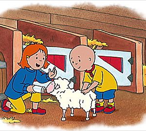 Caillou: Starry Night