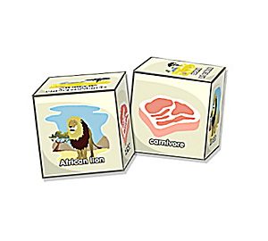 Brain Blocks Flash Cards: Land Animals