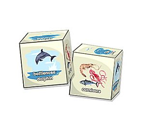 Brain Blocks Flash Cards: Sea Animals