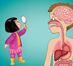 LeapReader™: Interactive Human Body Discovery Set