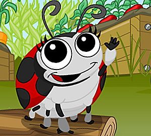 Lula the Ladybug