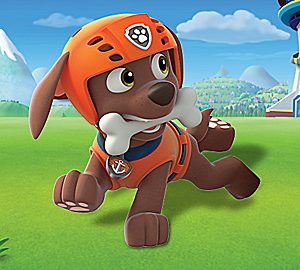 PAW Patrol: PAW Patrol to the Rescue!