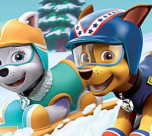 PAW Patrol: Pup-tastic Teamwork!