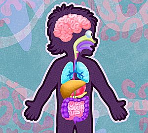 The Human Body: Captain Plasma’s Adventure